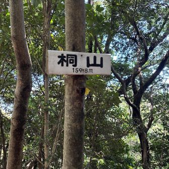桐山