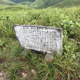 もう読めないくらい劣化した石板の文字。