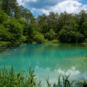 青沼、エメラルドグリーン

駐車場からすぐなので観光客でいっぱいだった