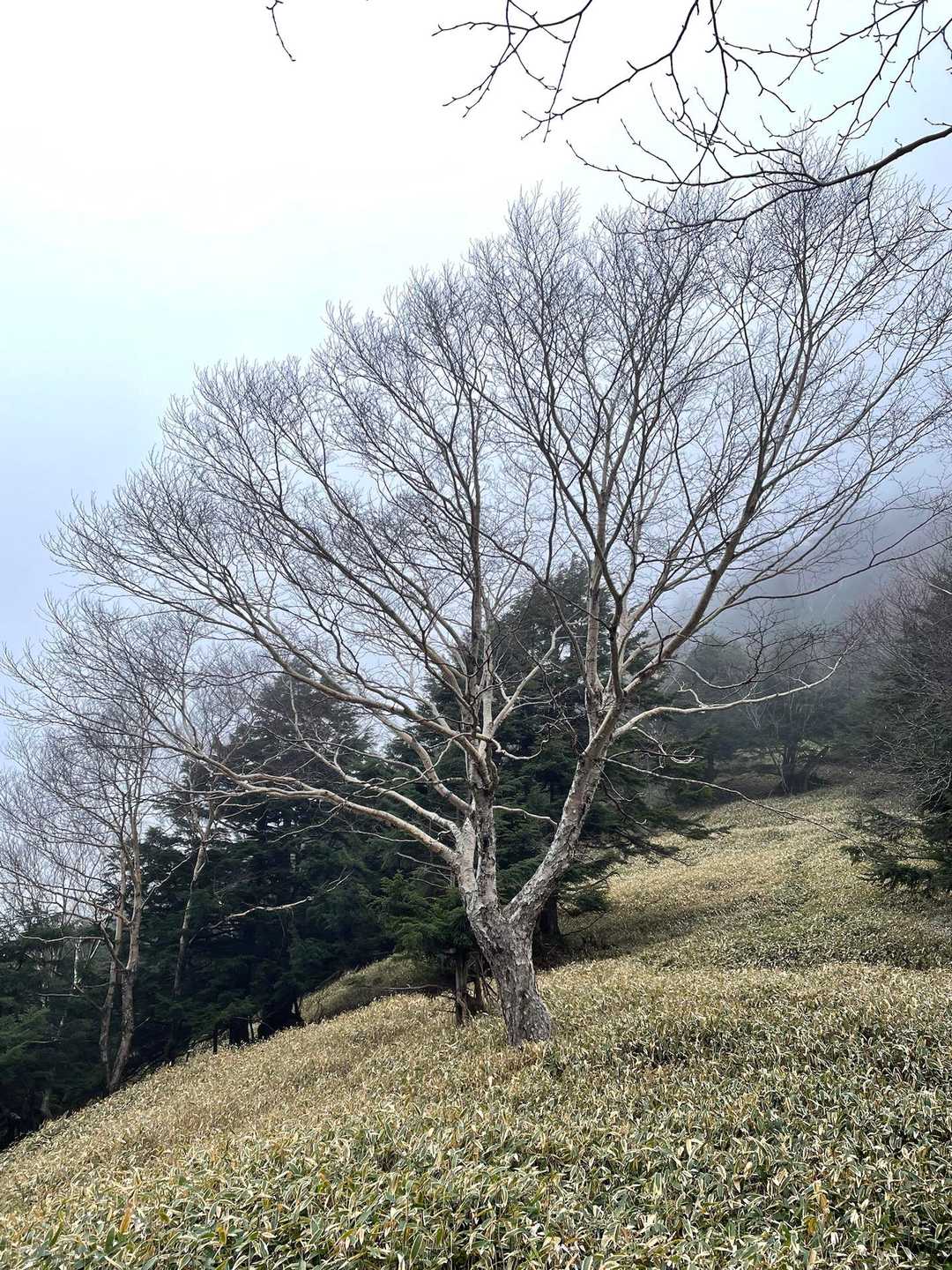 アートじゃん😅
