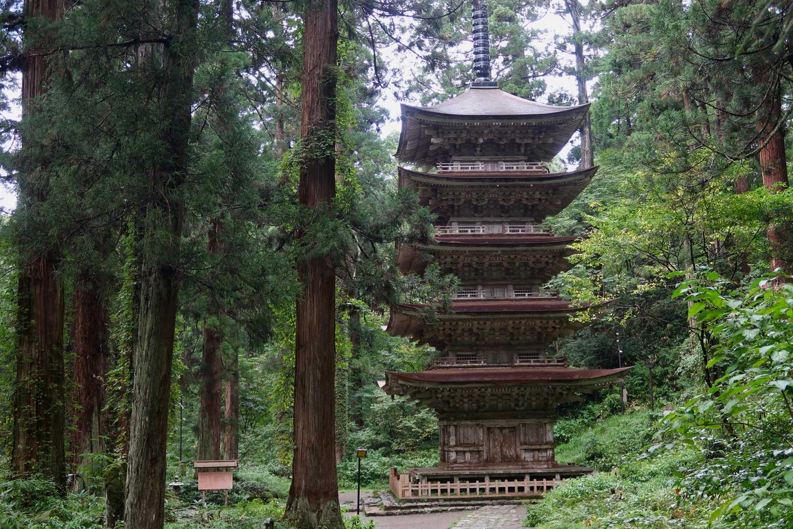 杉の木立の中に佇む様が厳かです✨
