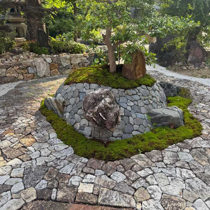 自然石 水石 岩のような形状 亀紋石 亀の形をした石と言うものがあり亀に似てる / ジャンセルさんの