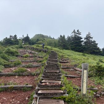 山頂近くだけど、雲に覆われ始めた