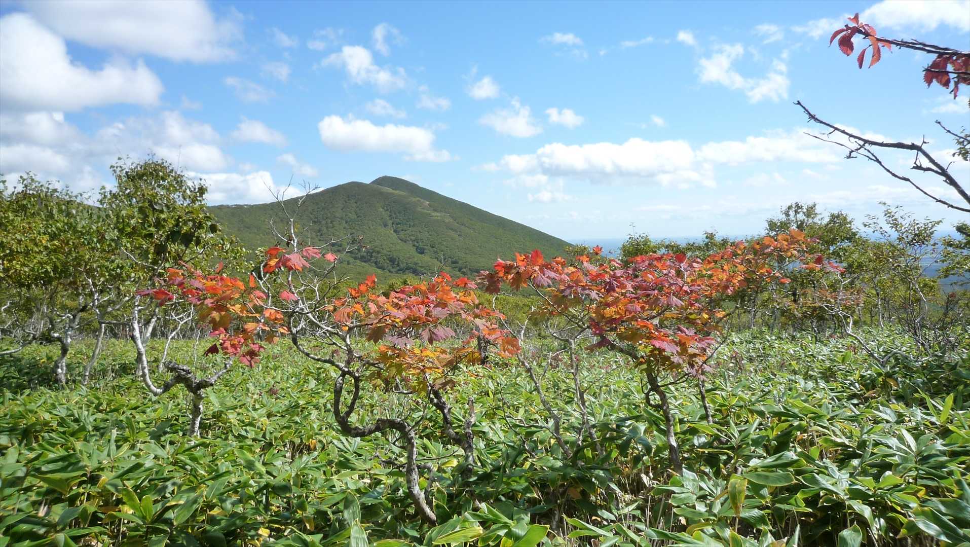 来る時よりも綺麗に写せました