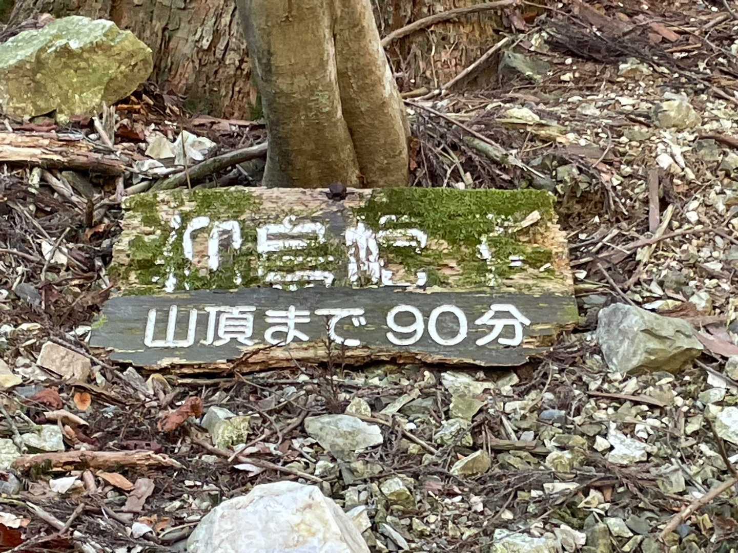 山頂まで90分😅まだまだ😭
足の調子が悪かったらここで引き返すつもりでしたが😅楽しい皆さまと歩くと足　痛くない🙌
よ〜し山頂まで頑張るぞー💪
いつもサポートありがとうございます🙏