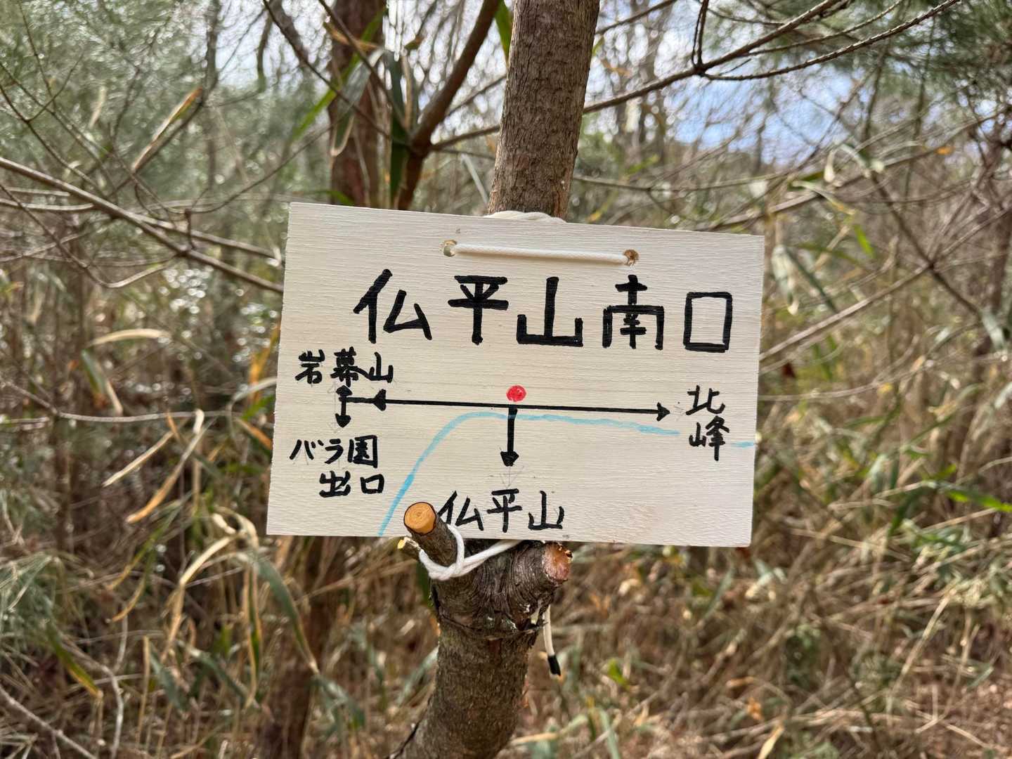 ここからカブ隊長と美女軍団は北峰へ向かう。
東屋茶屋の女将の私は開店準備のため離脱。
この岩幕連山は何処からでもエスケープ出来るのも良いよ⭕️