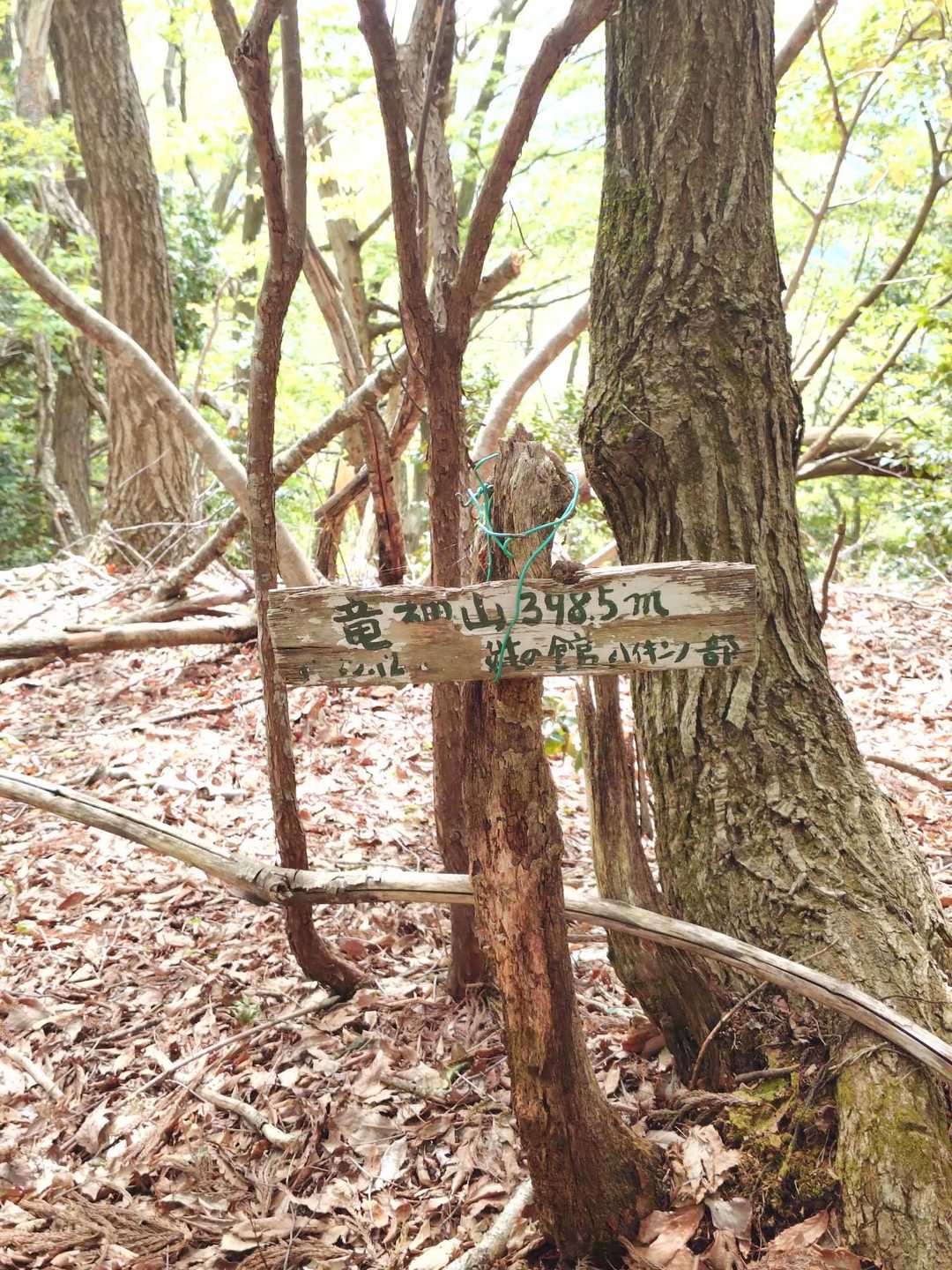 ここで沢山のオヤツ交換会
帰りの方がオヤツ増えました☺️