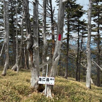 池口岳南峰頂上