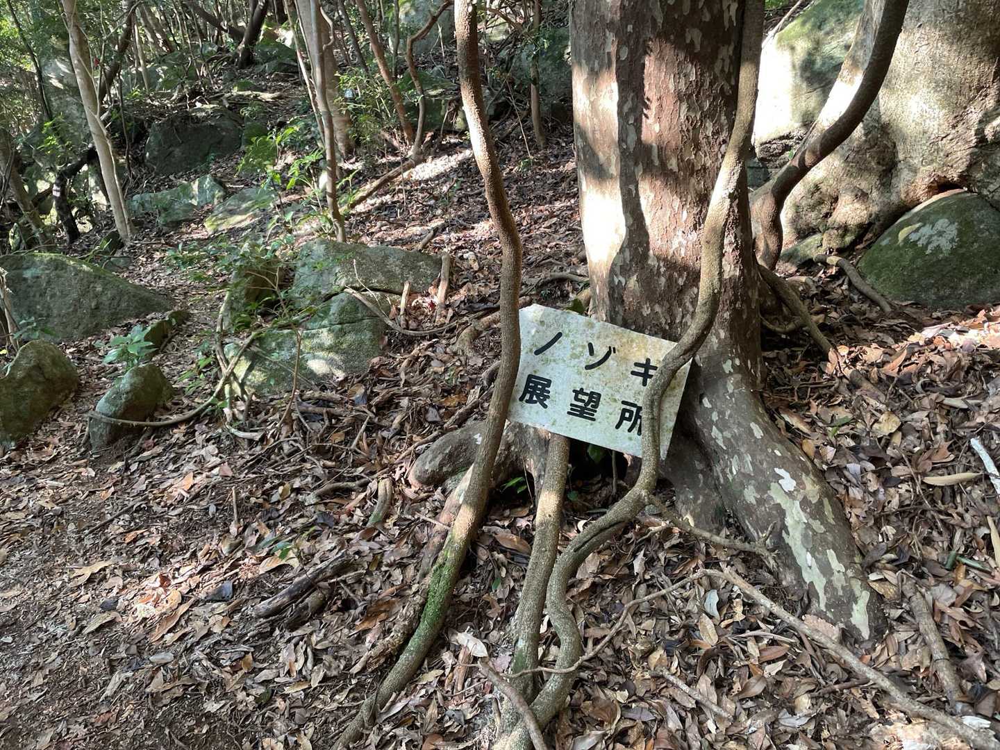 YAMAPルートはここから右ですが、ピンクテープも踏み跡もしっかりありそうなので左に曲がり展望所経由でルートを少し外れてみました