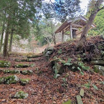 そっと手を合わせ、お寺を後にしました。