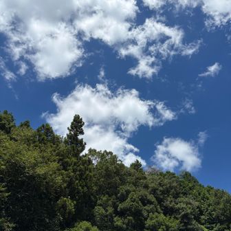 おつかれ山でした🙌

さぁ、ラーメン屋行こうぜ🍜🍜🍜🚗³₃
