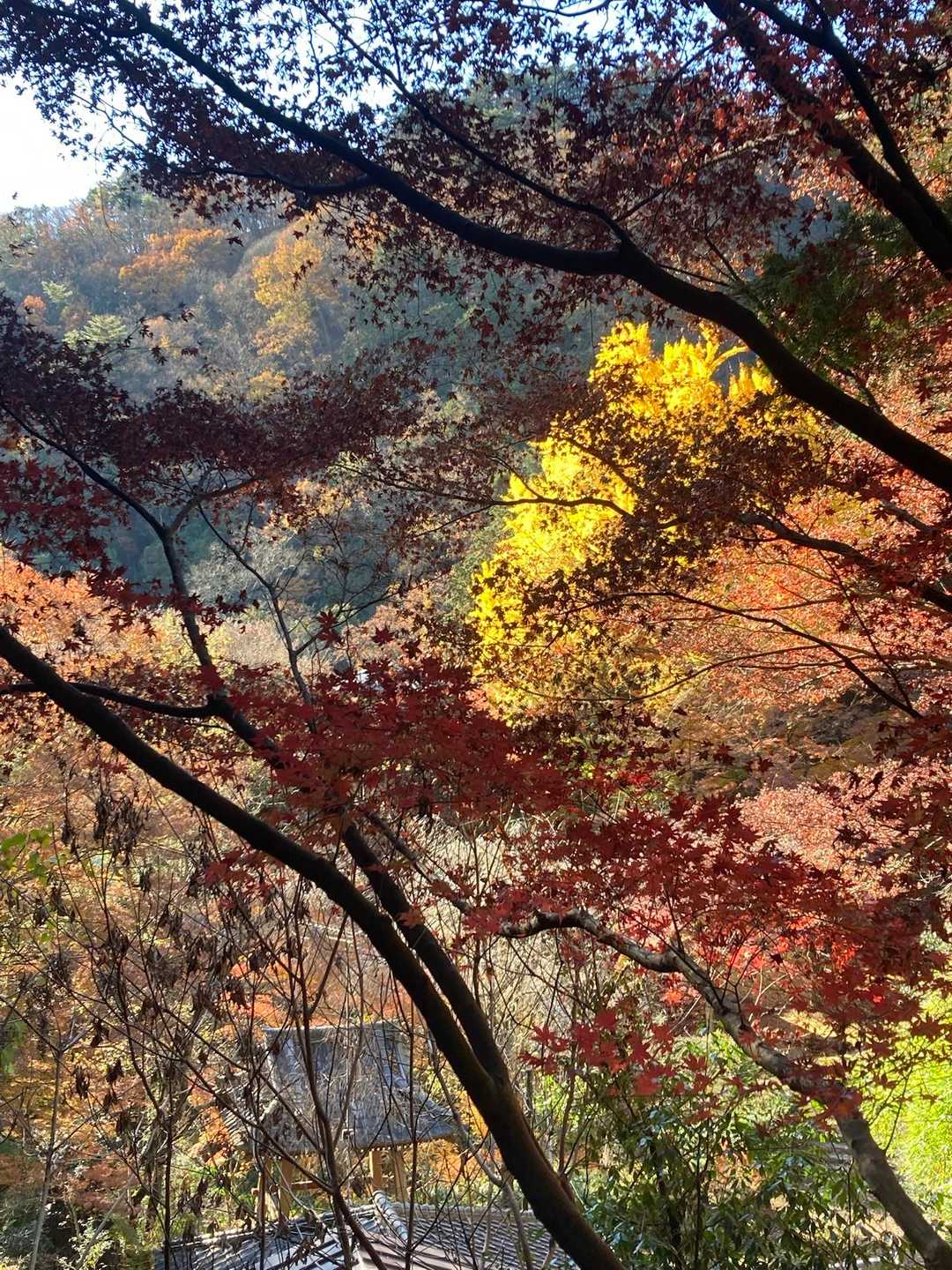 行道山-大岩山 周回コースの写真