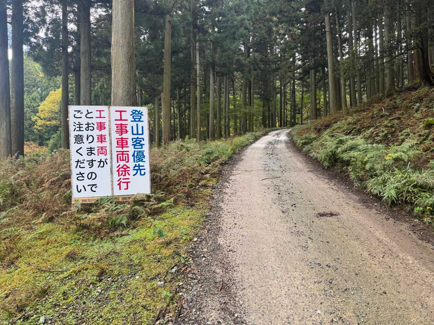 登山客優先🥹ありがとうございます。
そう言えば、小指あんまり痛く無くなっていました。あと数回歩けばちゃんと馴染んでくれそうです✌️
