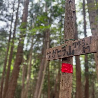 ▪︎サガヒラ山⛰️山頂▪︎

眺望なし