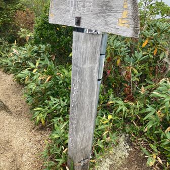 遠見尾根を下る