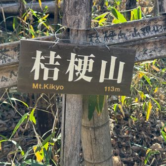 桔梗山、到着‼️
本日の11座め。