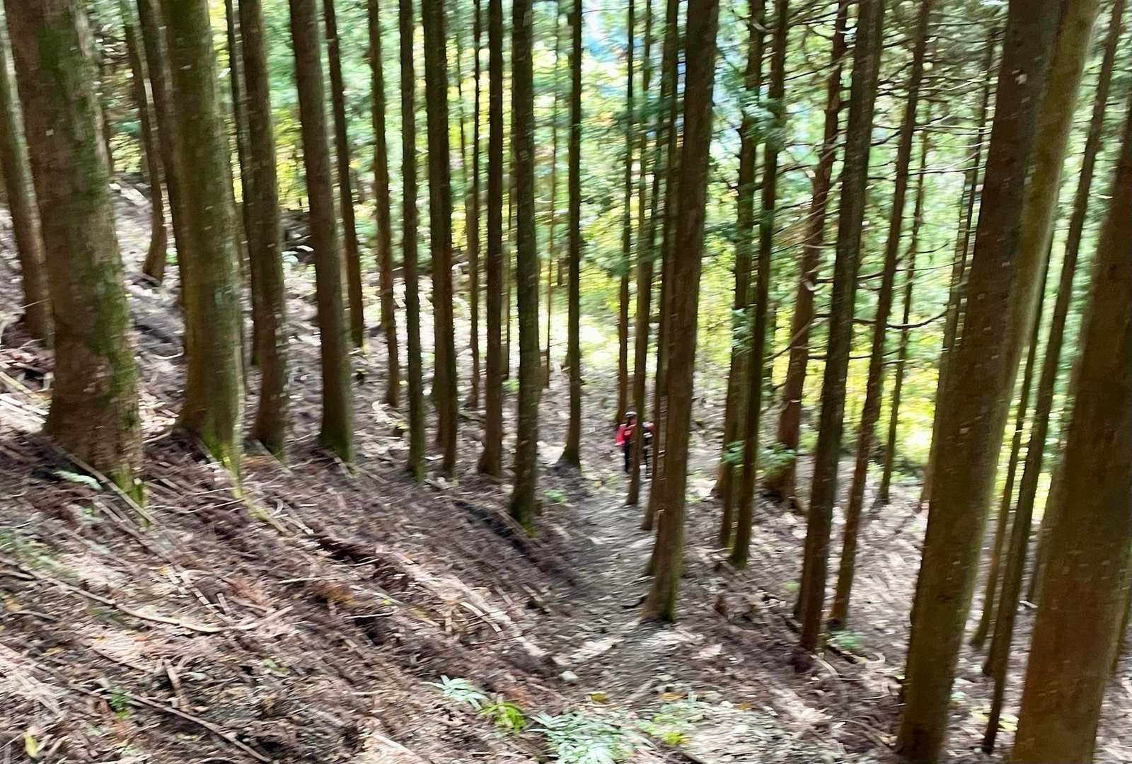 前方に登山者発見！
少しホッとする