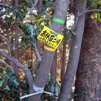 暫くすると[南休石二峰]到着! この後少し下った所で休憩した所で軌道がやっぱり暴れる???