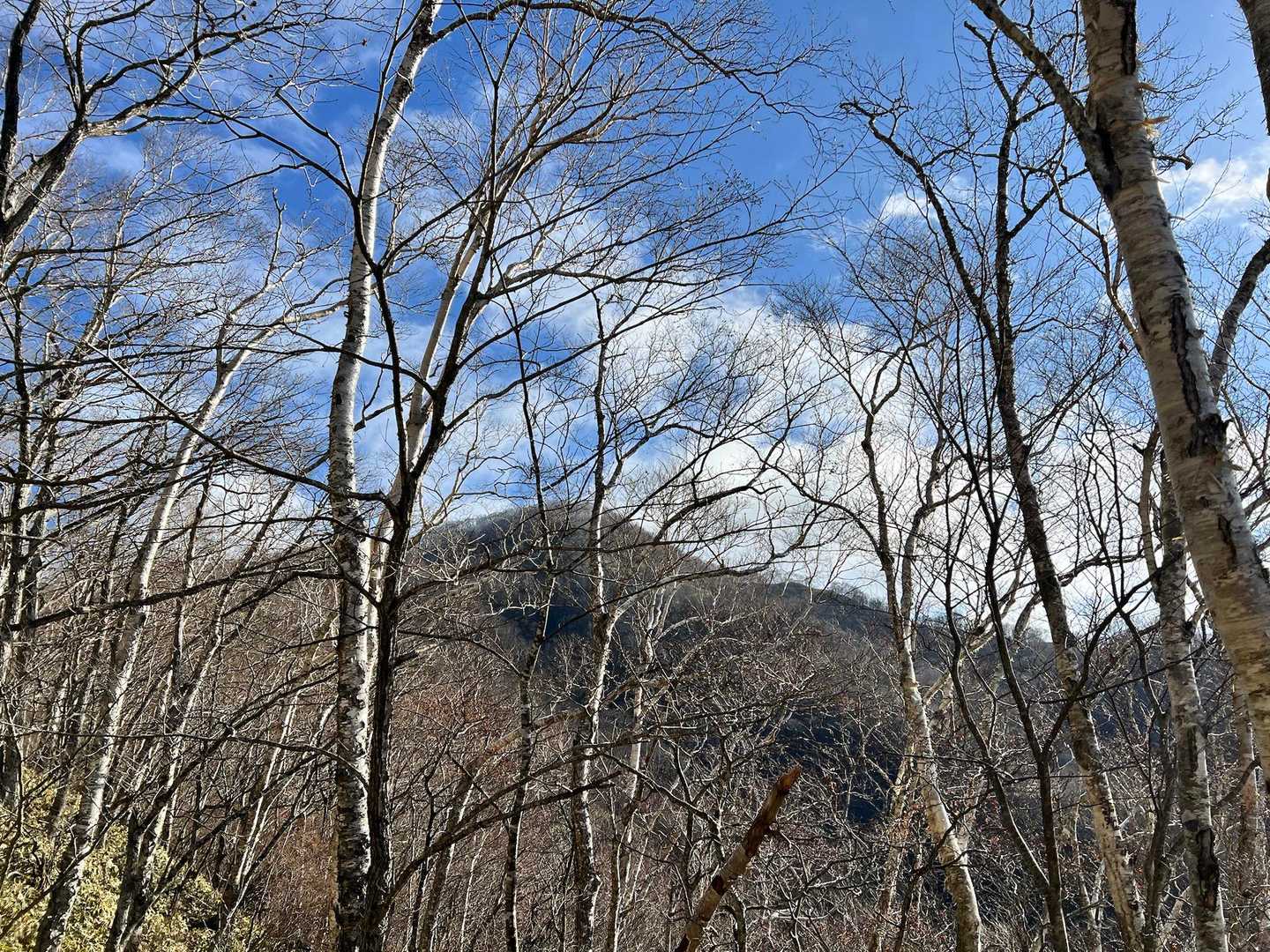 下山したら晴れてくるアルアル