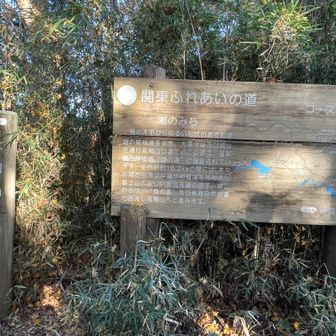 9座目 大洞山
５３６m