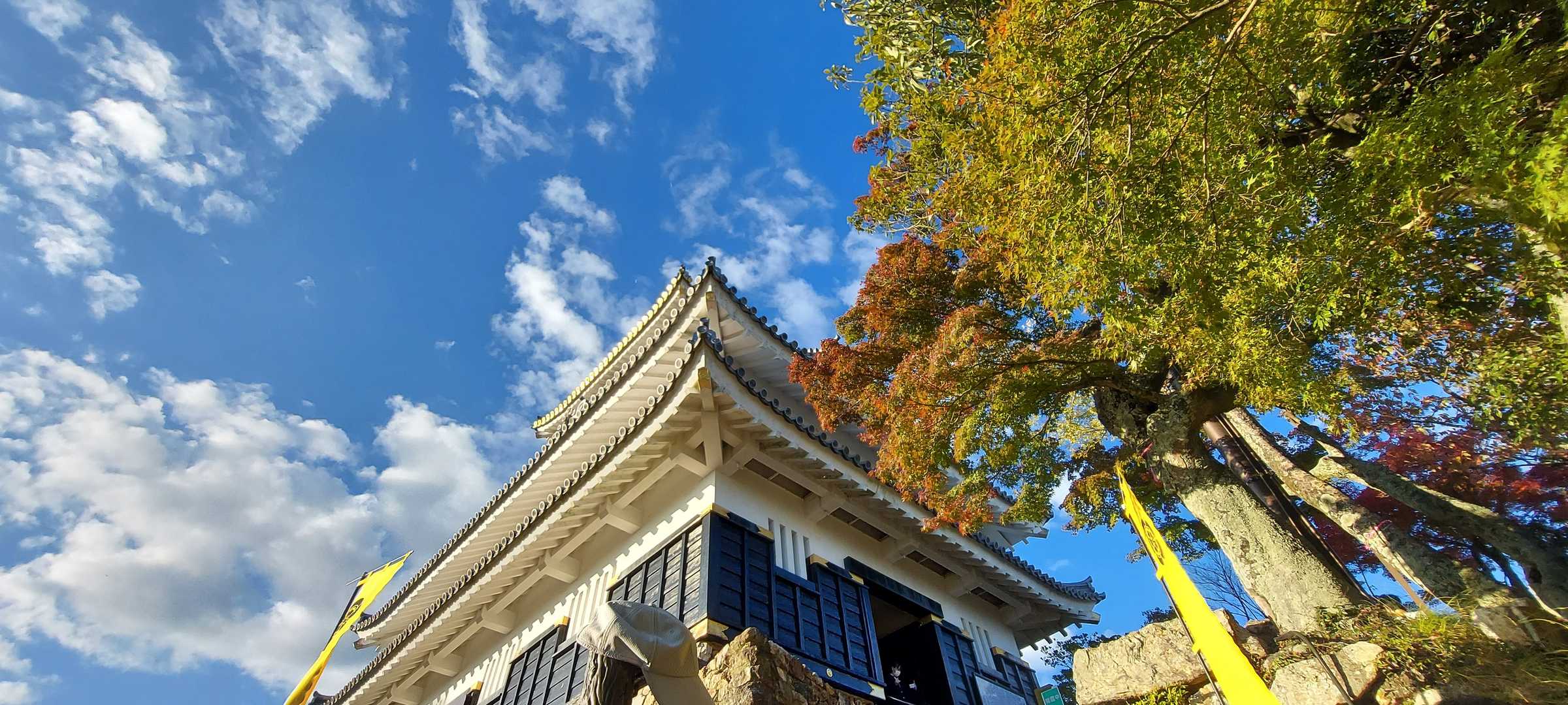 妙見峠発着｜岐阜市街を眼下にながめる金華山の写真