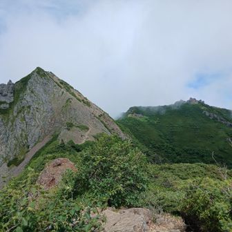 東ギボシと権現岳