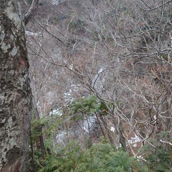 下には滝が見えます