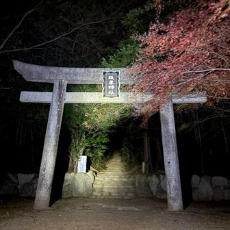 5本目
本日の目標
いよいよラストです💪