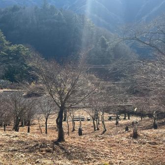 いそいそとおりまして、あそこのベンチへ、この場所好きなんです。