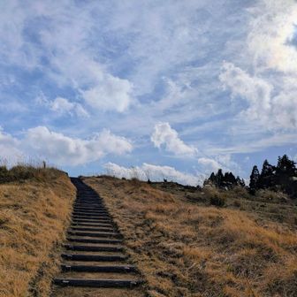 綺麗になってた登山道を
