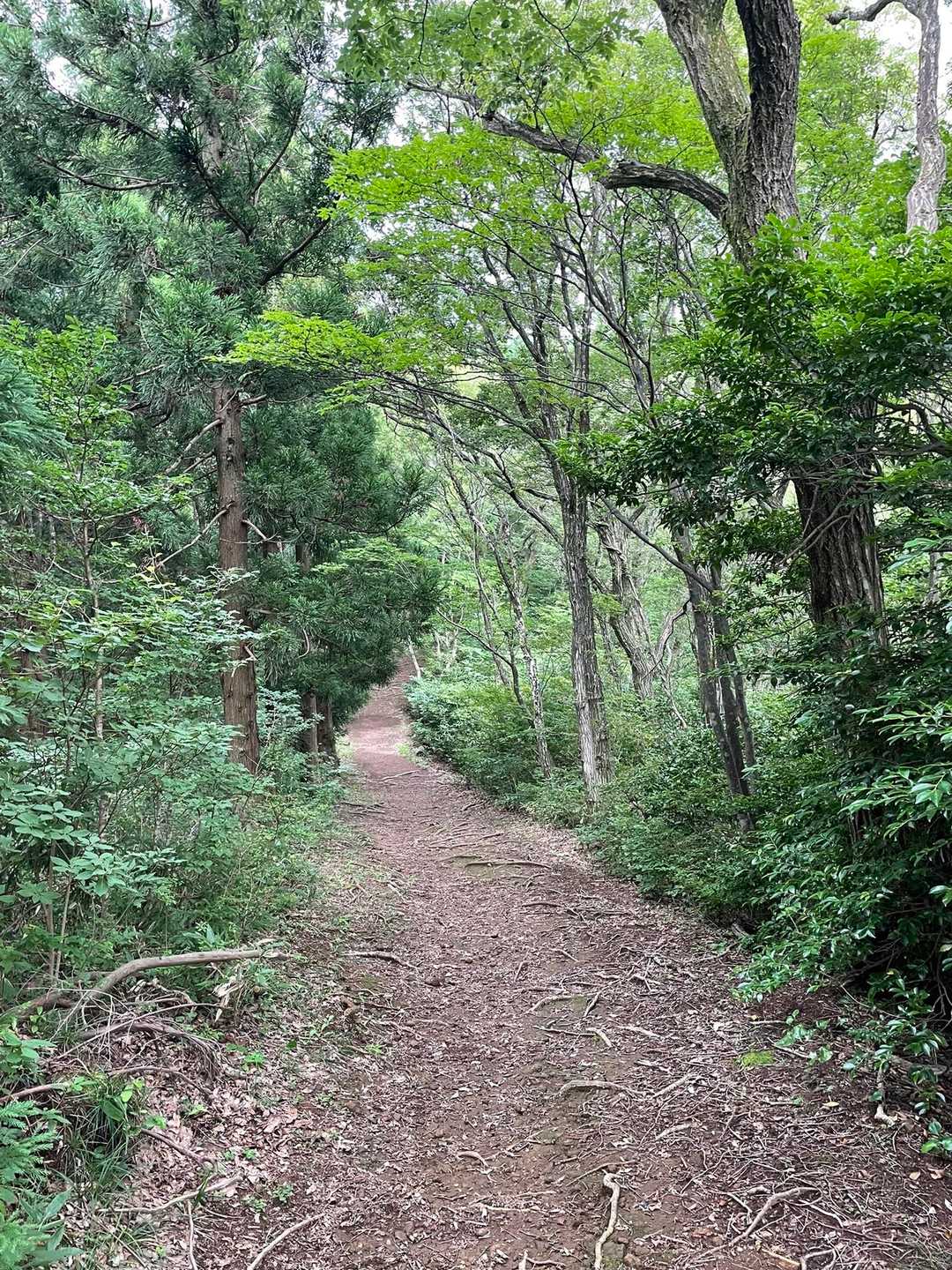 けれど、暑い🥵