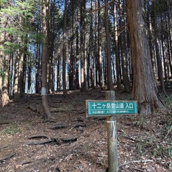 登山道はここから。