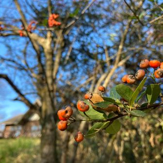 朝日峠🅿️近くまで来ました