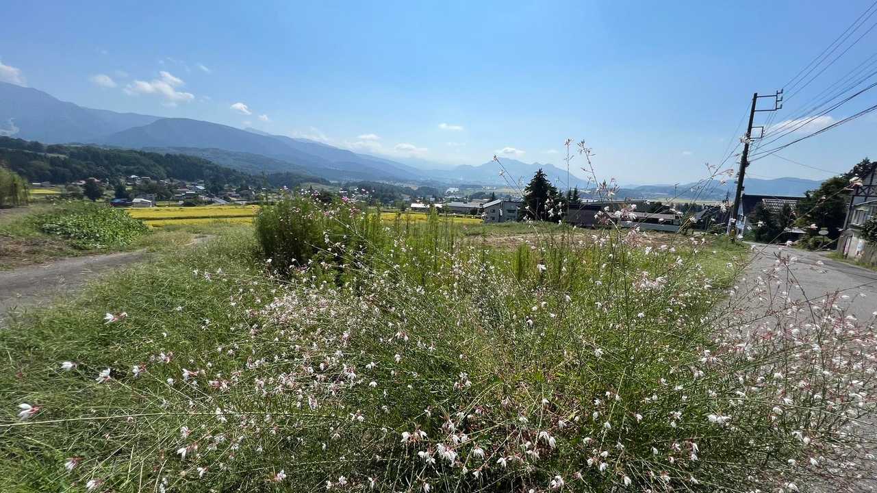 信越トレイル#2（sec.2-3／赤池〜涌井〜桂池〜仏ケ峰登山口〜上境駅） の写真 43