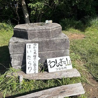 裏には今から烏帽子山に登るぜよ。ほいたらね！と書いてました。