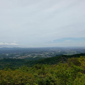 大岩展望台から

豊田の市街地が見えています👀