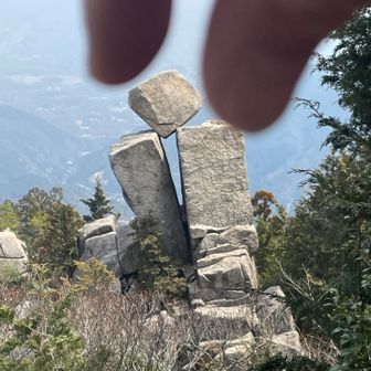 定番のやつやってみた