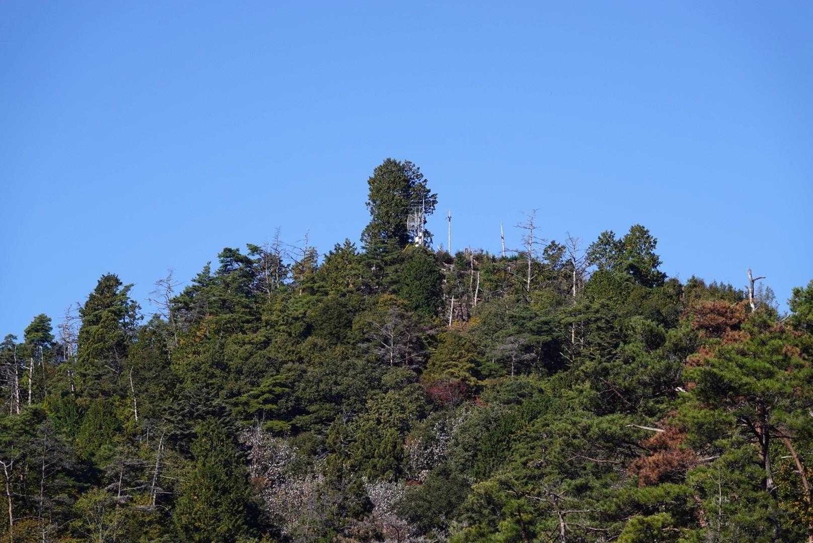 山頂が見えました