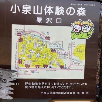 ここからスタート