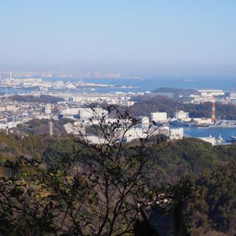 乳頭山からの眺め
奥の方はみなとみらい方面です