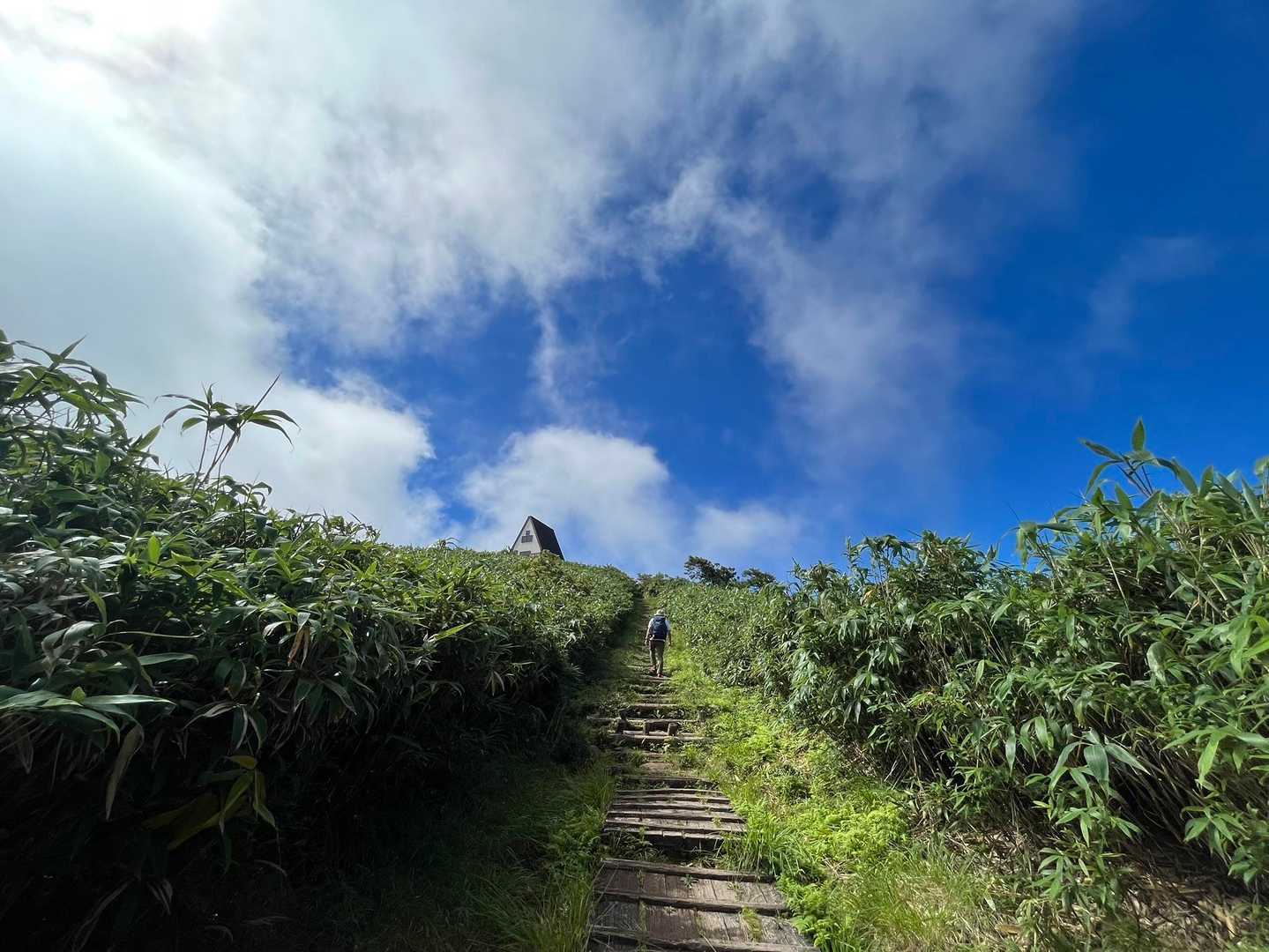 山頂手前のこの道が雰囲気良くて好き✨