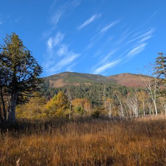 見た目は穏やかな至仏山。登ると結構狂暴。