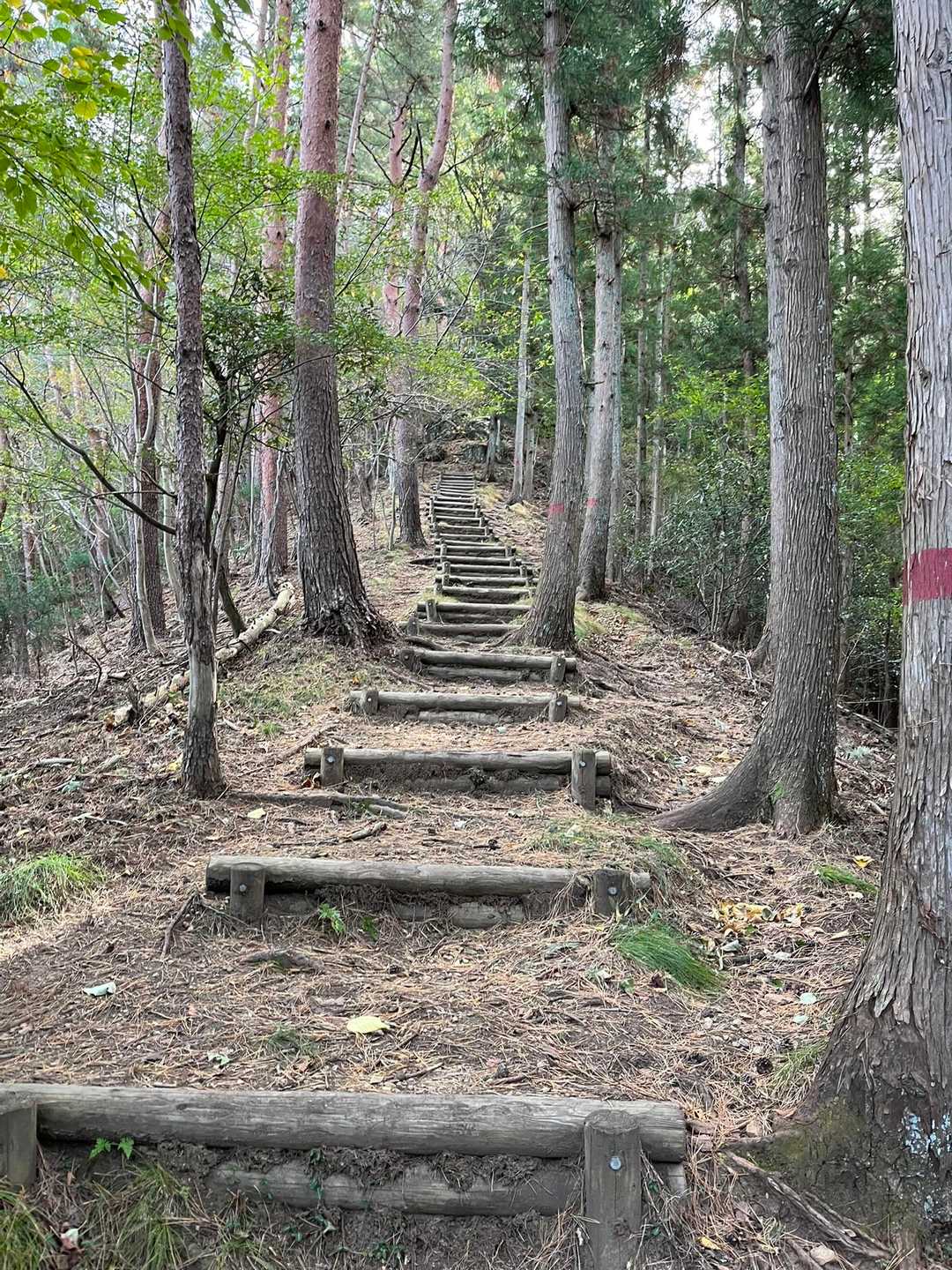登りの階段て脇を歩いた方が楽だよね