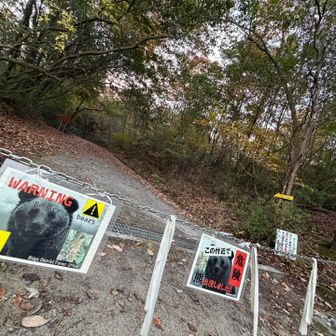 スーパー新しい注意喚起のパウチっこ⚠️
ただ、どうでしょう🤔
一応素直にビビって鈴2つ出しました🔔🔔