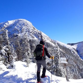 12本でアタック