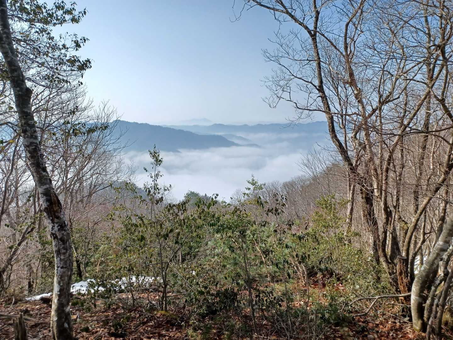 白尾山（京都府）の写真