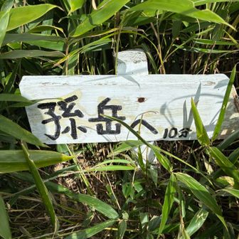 YAMAPには20分とある