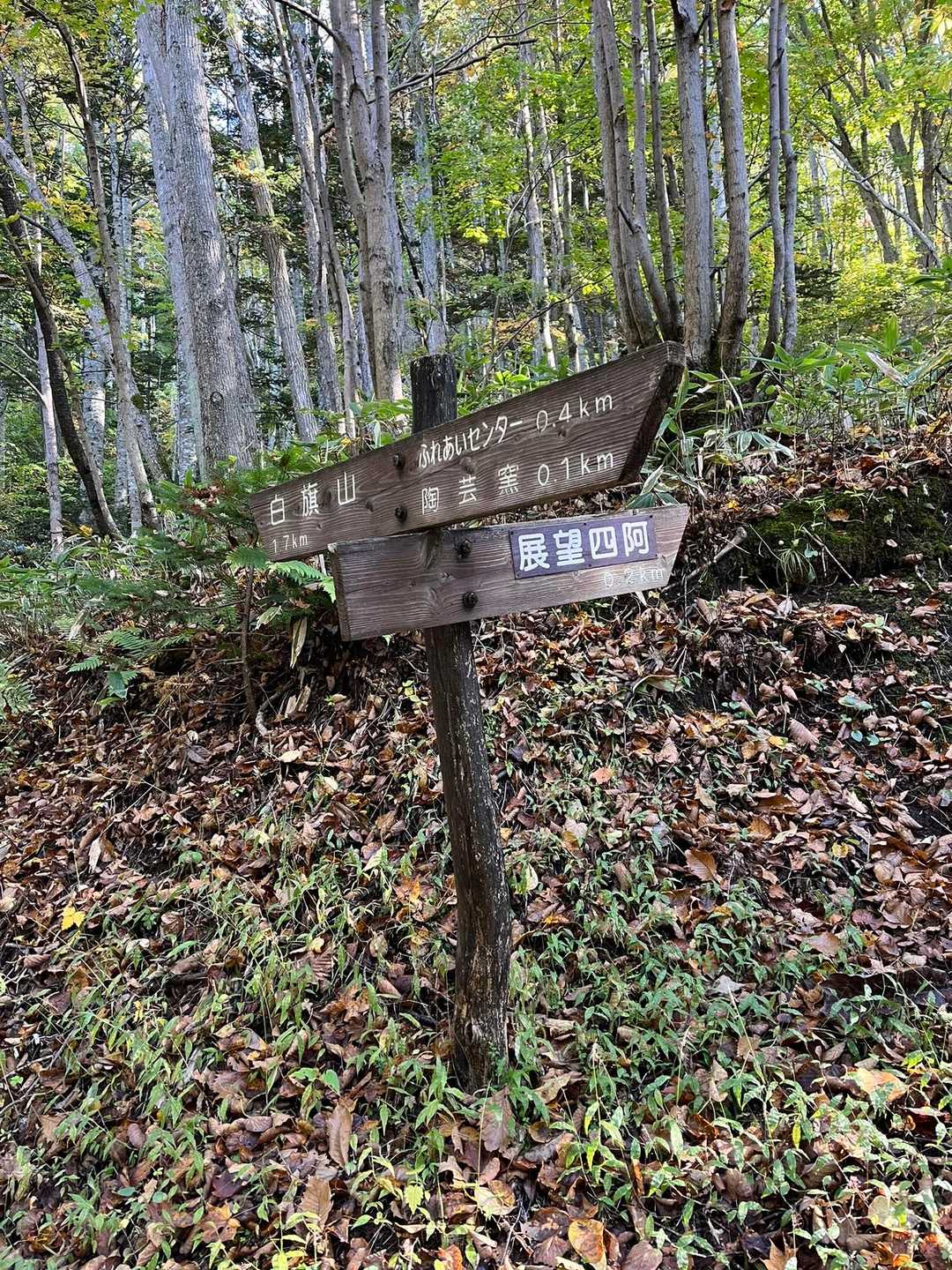 降りて来ました