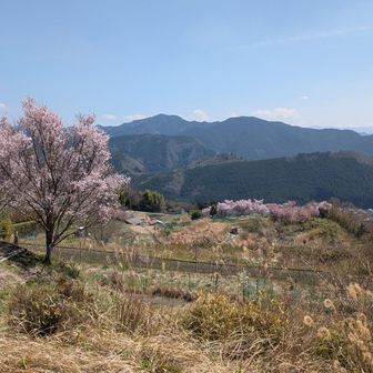 十八神社からの眺め
ここから東海自然歩道で鳥見山公園へ
途中369号線を渡って階段を降りて下の道へ