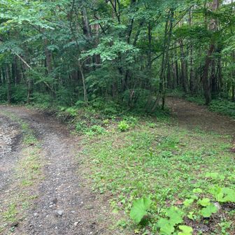 ここを右にいくはずだったのですが、間違えて左に行ってしまい、１kmほど戻りました💦